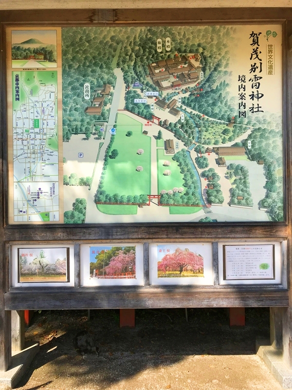 上賀茂神社 境内から望む神山 ご神体がそびえるパワースポット
