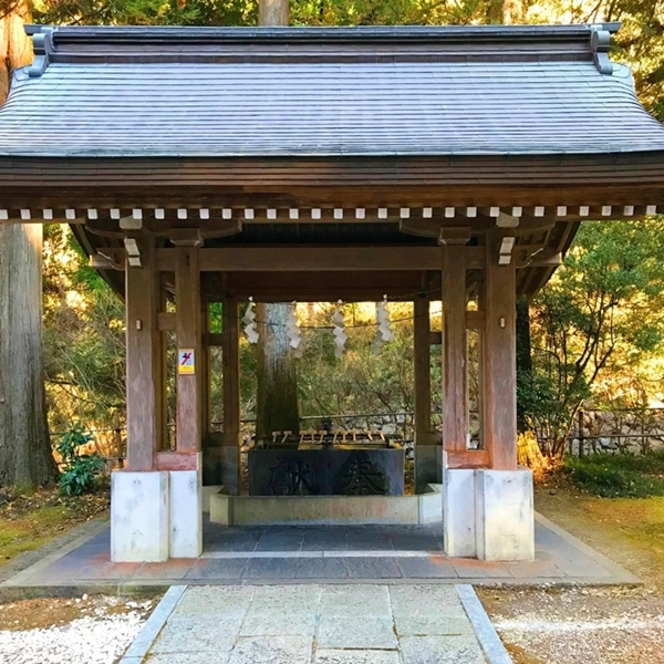 パワースポットで有名な金鑚神社の手水舎