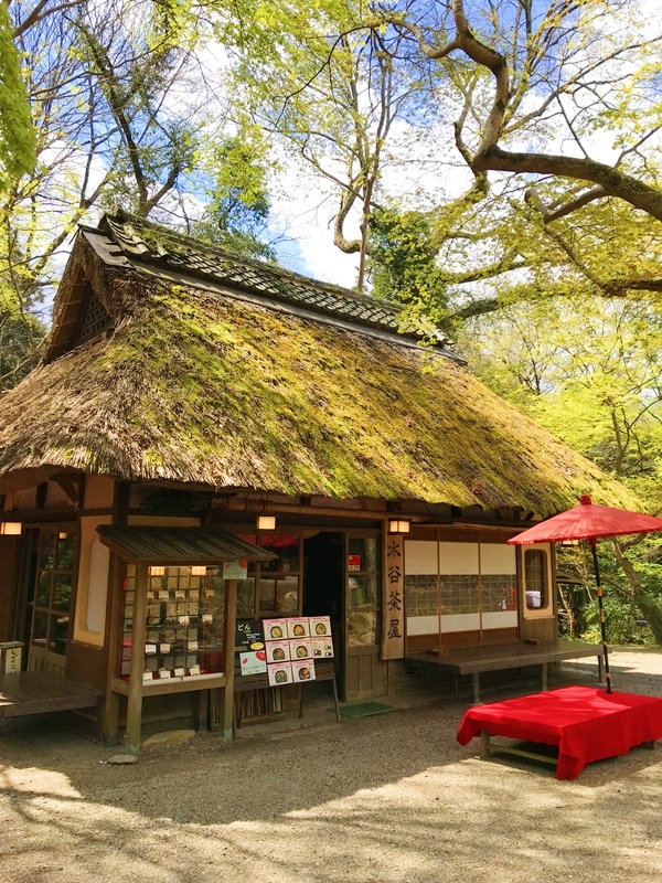 茅葺き屋根が趣ある春日大社境内の水谷茶屋の外観