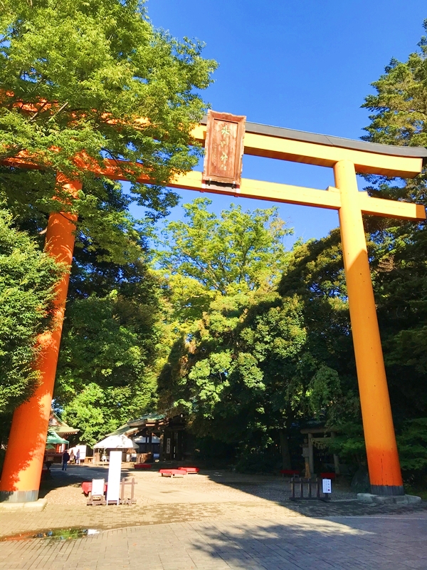 川越氷川神社 大鳥居 高さ15m 木製日本一 勝海舟筆の扁額