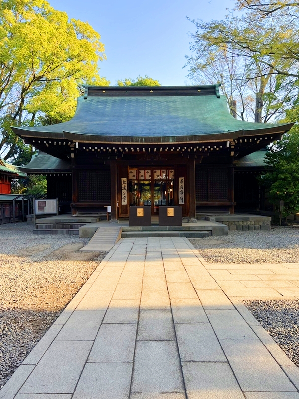 川越氷川神社 拝殿 二組の夫婦神を祀る縁結びの聖地