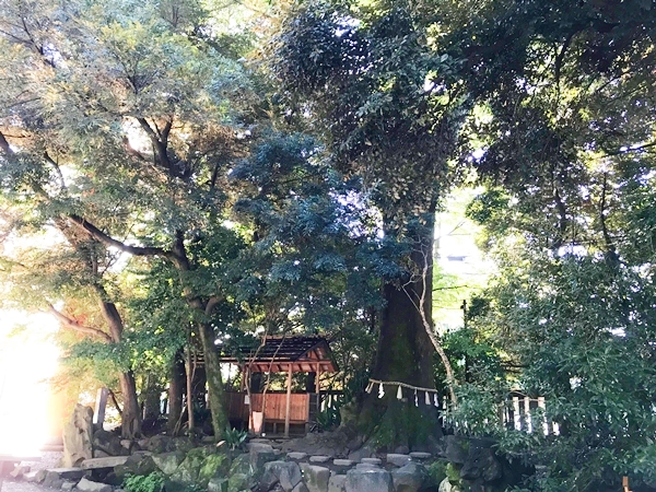 川越氷川神社 御手洗川 清らかな小川と戌岩 水神社