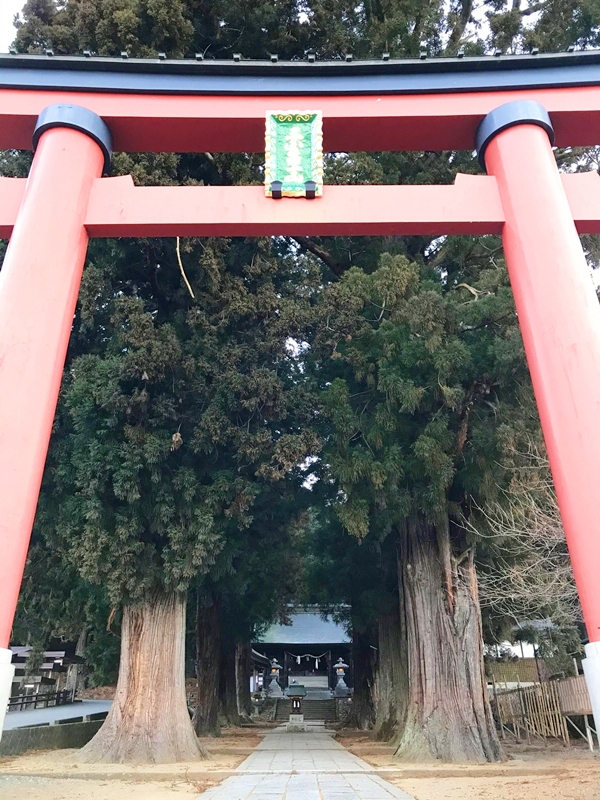 河口浅間神社 正面の高さ約18メートルの朱塗り大鳥居
