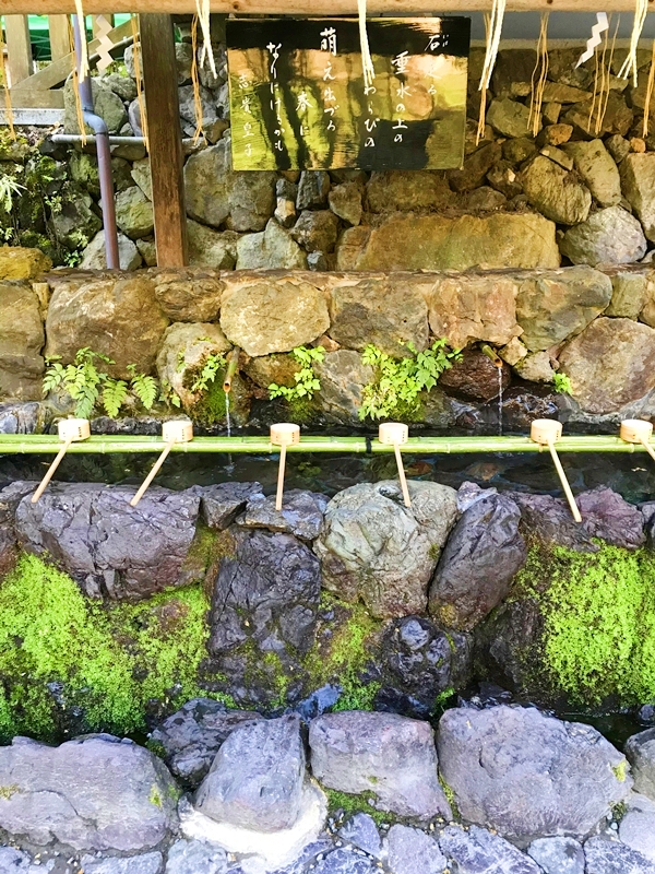 貴船神社 本宮 手水舎 社殿石垣下に位置する苔むした手水舎