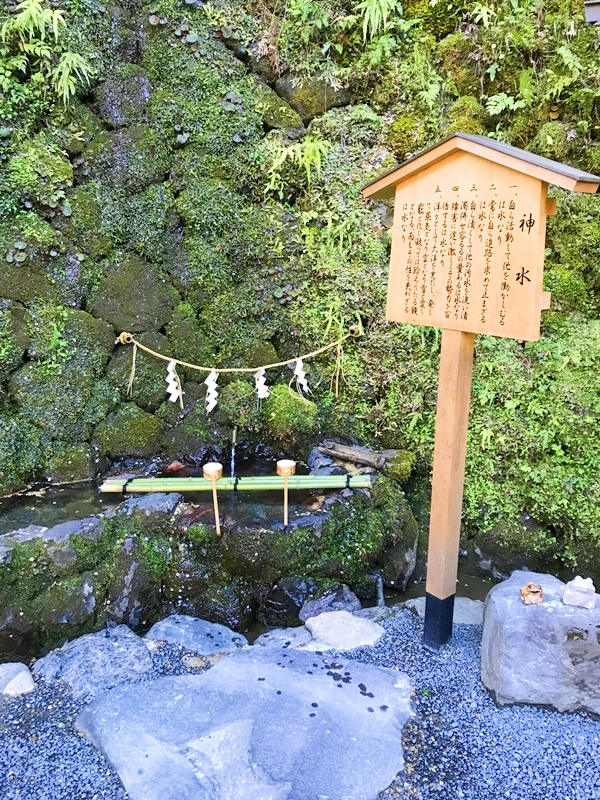 貴船神社 水占みくじ ご神水に浸すと文字が浮かぶ神秘的なおみくじ