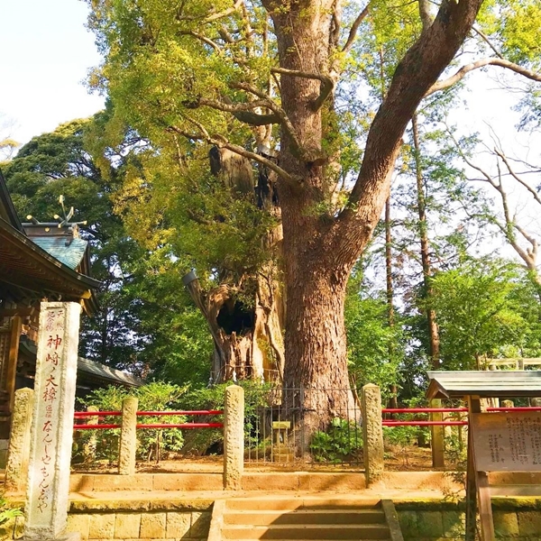 パワースポットで有名な神崎神社の本殿