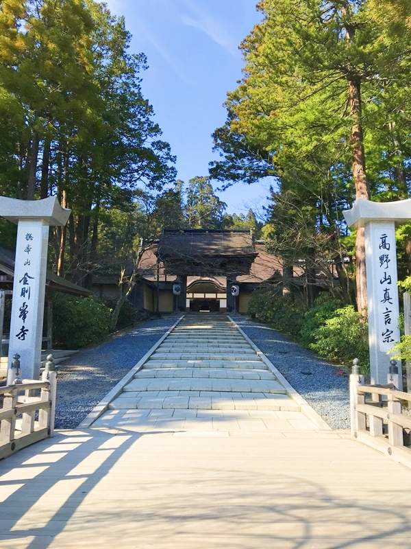 金剛峯寺の大広間と日本最大級の石庭「蟠龍庭」の全景