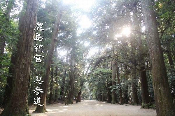 桁外れの精気が流れる鹿島神宮の奥参道へと続く道