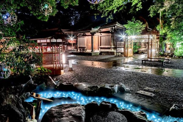 夜の境内で幻想的に光る川越氷川神社のネオンや灯り