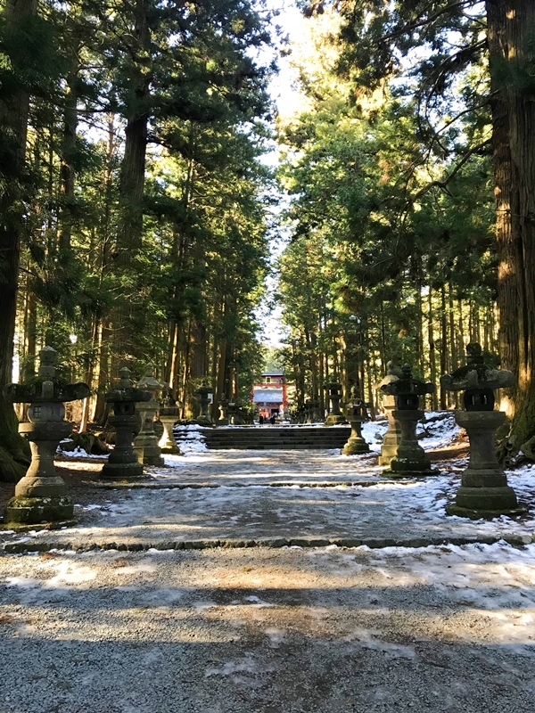 北口本宮冨士浅間神社の長い参道