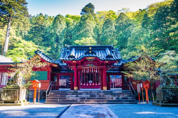 石段を上りきった先に広がる箱根神社の荘厳な拝殿