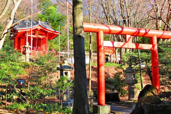 芦ノ湖の湖畔に静かに鎮座する九頭龍神社の本宮社殿