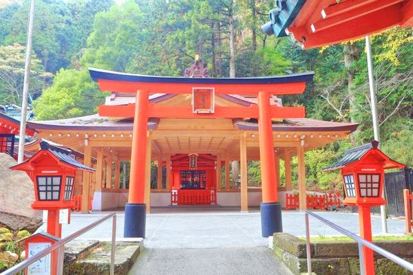 箱根神社の境内に鎮座する九頭龍神社新宮の拝殿