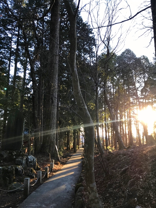 朝日が昇る東口本宮冨士浅間神社の境内