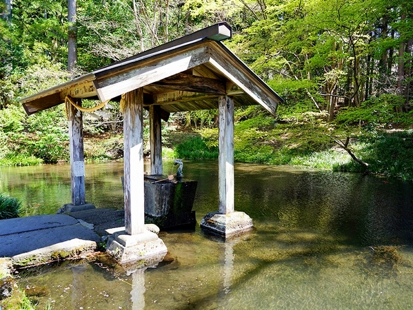 恋愛運を高める水の気に満ちた赤城神社（三夜沢）の神池と手水舎