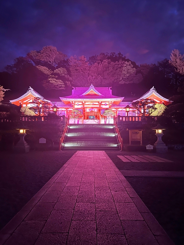 恋人の聖地として親しまれる夜の足利織姫神社を彩るイルミネーション