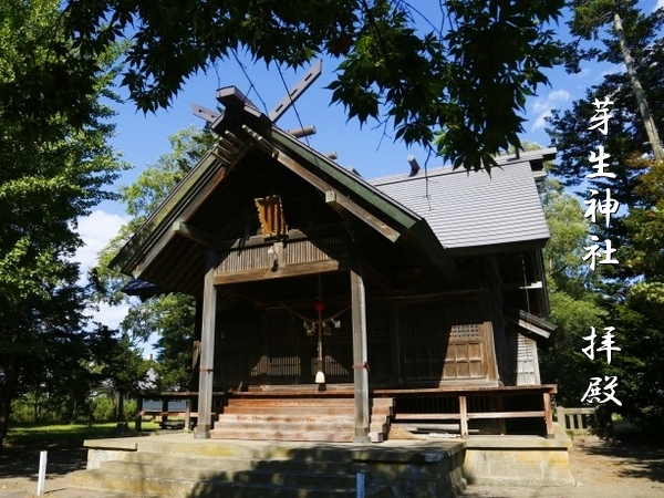 深川市の豊かな自然の中に佇む芽生神社の鳥居と参道風景