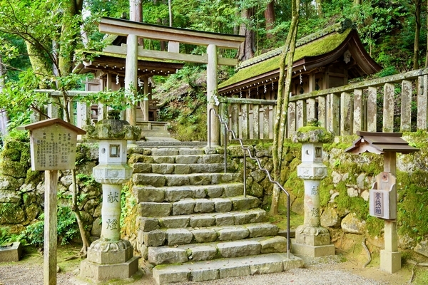 縁結びや開運など多彩なご利益を授ける石上神宮の境内社