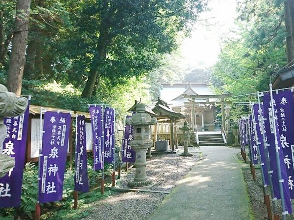 開運効果と縁結びのご利益を授かる泉神社の緑豊かな参道