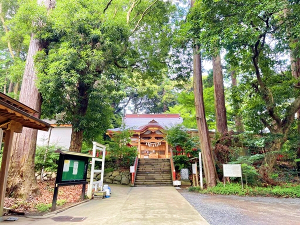 稚産霊命を祀り縁結びや開運の祈祷が行われる麻賀多神社の社殿