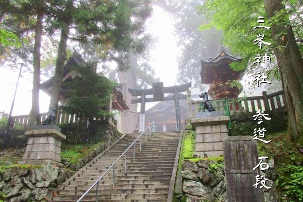 三峯神社の木々に囲まれた清涼な参道 縁結び本物のパワーを感じる風景