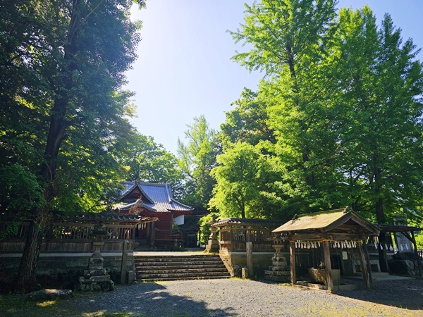 歴史の重みを感じさせる椋神社の拝殿と境内の全景