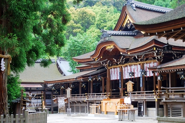 本物の縁結びを祈願する拝殿前から望む大神神社の社殿