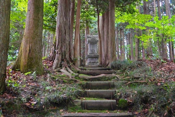 静謐な空気が流れる龍爪神社の境内の様子
