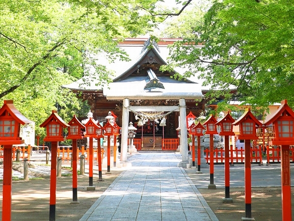 本物の縁結びや開運祈願で知られる群馬県前橋市の総社神社社殿