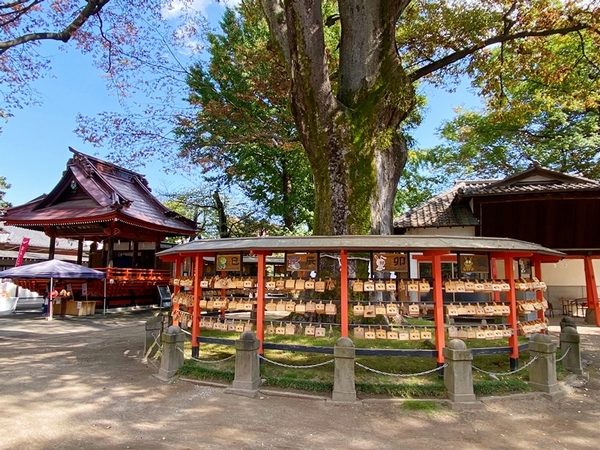 549社の神々が祀られ縁結びのご利益が期待できる総社神社の境内