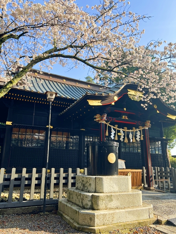 重厚な雰囲気が漂う千葉県指定文化財の玉前神社の黒漆塗り社殿