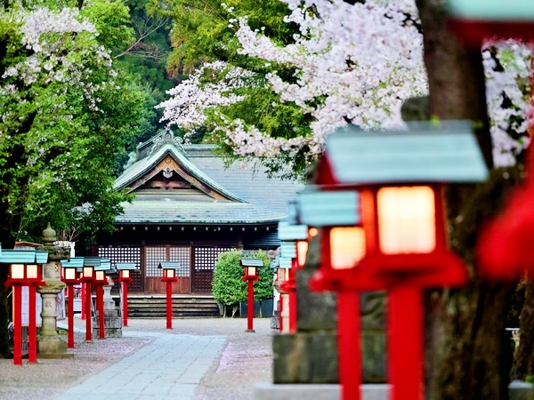 歴史を感じさせる石灯籠が並び、厳かな霊威が漂う鷲宮神社の境内