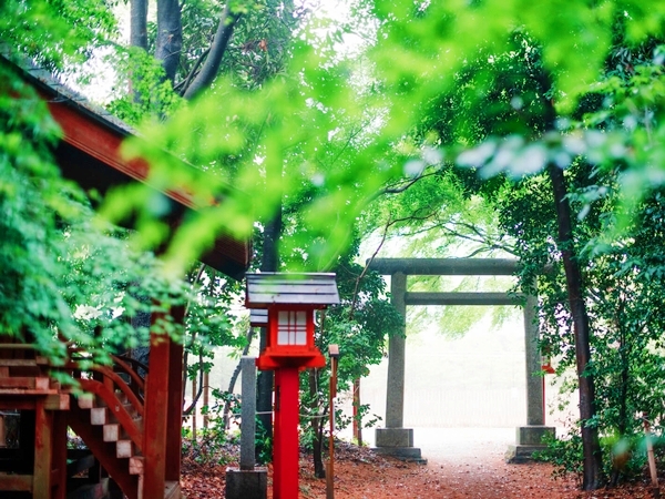 多様な相殿神が祀られ縁結びや金運のご利益を授ける鷲宮神社の境内社