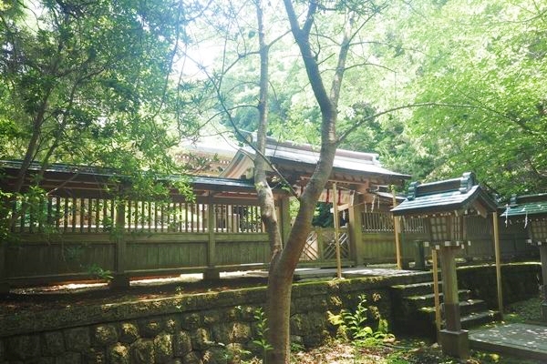 伊古奈比咩命の主祭神を祀る白浜神社の本殿
