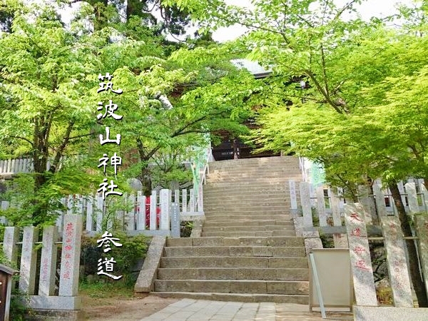 筑波山神社の参道とご神木のある霊気漂う境内