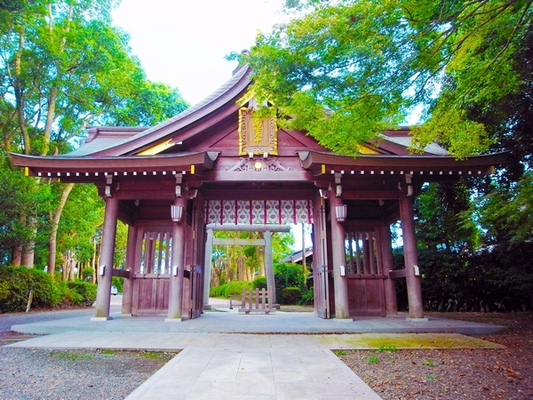 青空の下に建つ姉埼神社の石造りの鳥居と本物の縁結びを願う参拝者へ続く参道