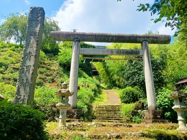 東京都青梅市沢井に鎮座する青渭神社