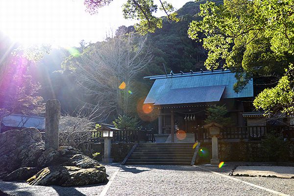 安房国一之宮として本物の縁結びや金運を願う参拝客を迎える安房神社の社殿外観