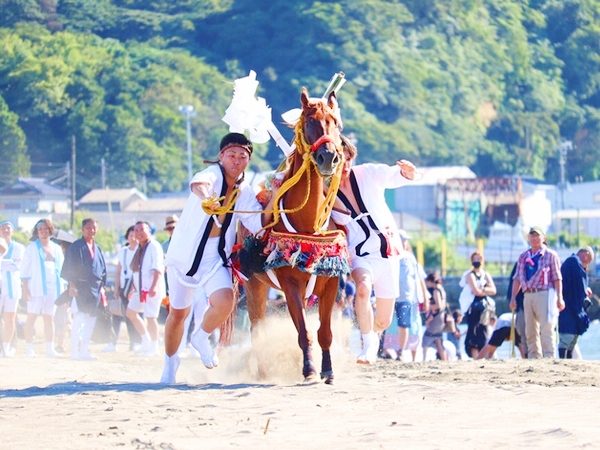 千葉県無形民俗文化財に指定された吾妻神社の勇壮な馬だし祭りの神事風景