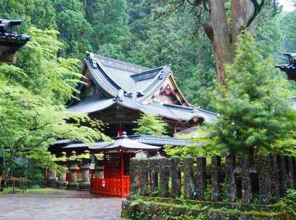 縁結びの神様を祀り運気の流れを整える祈祷が行われる日光二荒山神社の重厚な御社殿外観