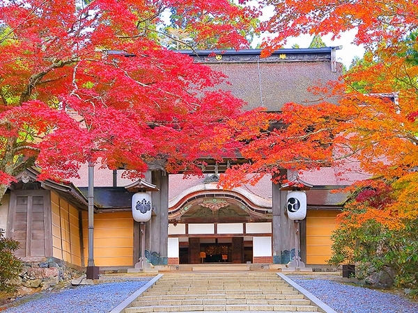 金剛峯寺の境内・蟠龍庭