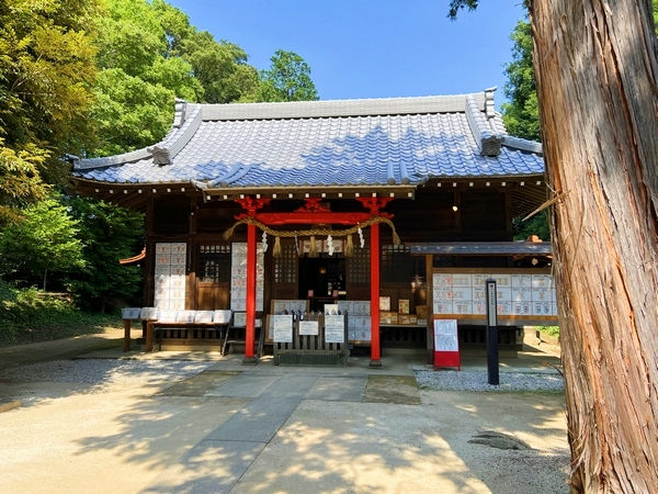 埼玉県さいたま市見沼区の中山神社
