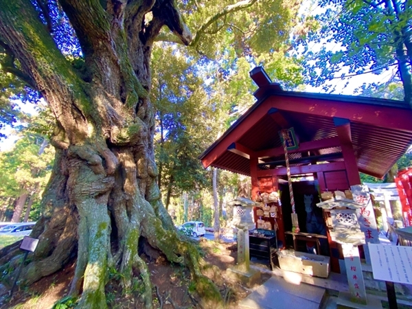 大杉神社境内の勝馬神社・馬櫪社