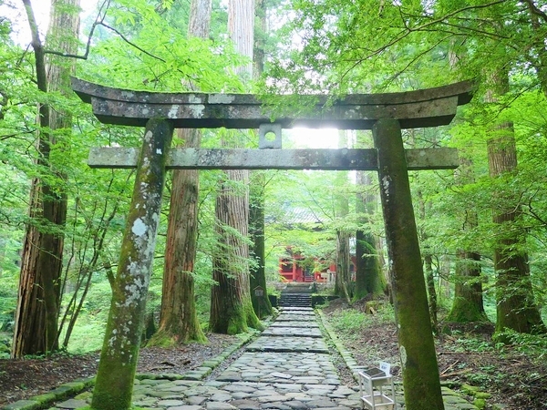日光二荒山神社別宮として本物の縁結びや良縁を願う参拝客を迎える瀧尾神社の社殿外観