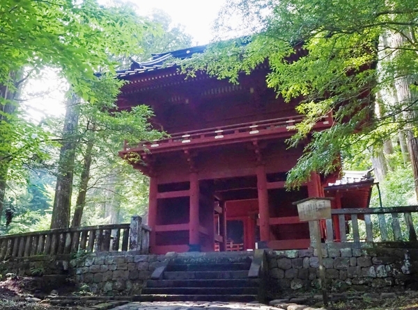 清らかな霊気が漂い、良縁成就や心願成就の祈祷が行われる瀧尾神社の静謐な境内と運試しの鳥居