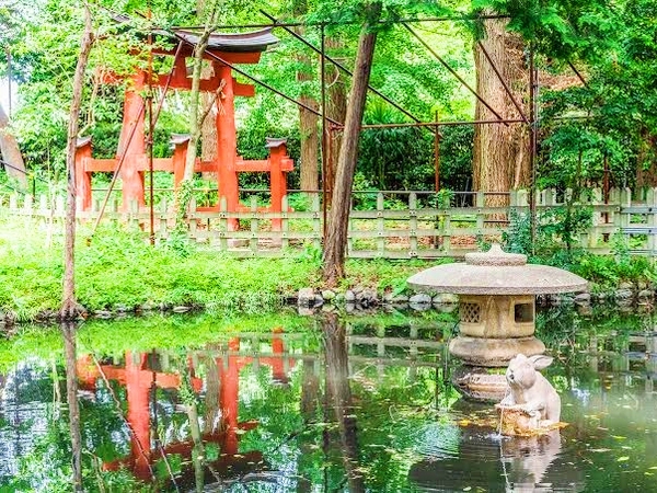 調神社の神使として親しまれている兎