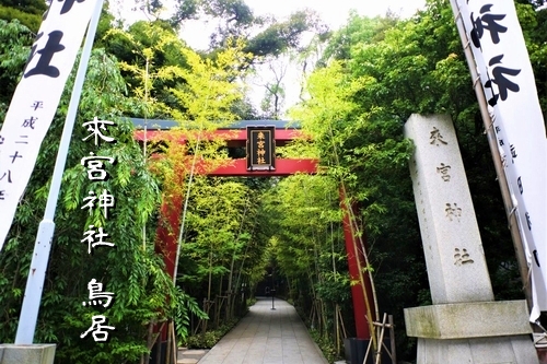來宮神社の参道入口に立つ鳥居