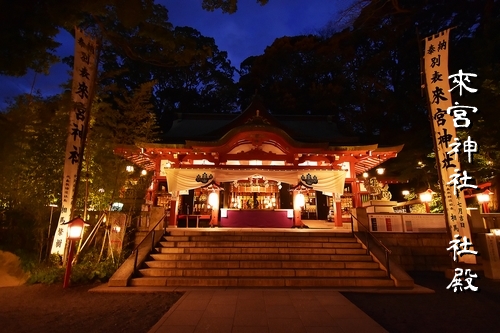 石段の先に立つ來宮神社の拝殿