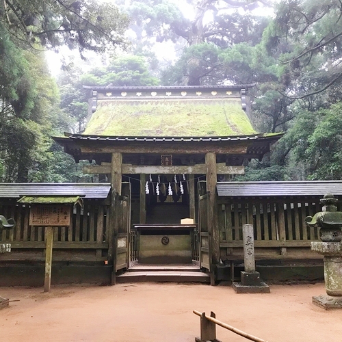 星夢(セイム)の健康祈願・病気平癒祈願