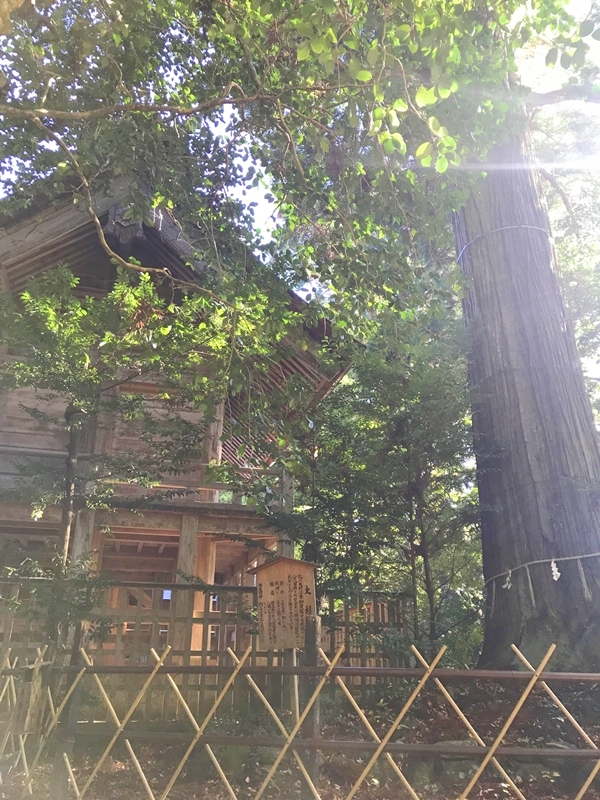 須佐神社本殿の細部と彫刻の精巧さ